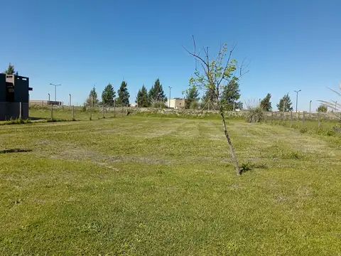 Terreno en Venta en San Sebastián, USD 35.000