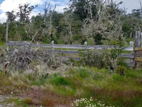 Terreno en Venta de 1000,0 m2
