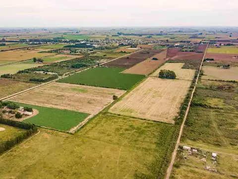 Campo en Fighiera con Casa quinta y Galpones