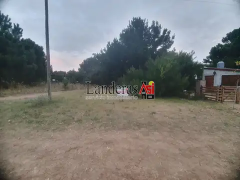 Hermoso Lote Arbolado - Orientación Norte