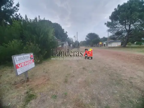 Hermoso Lote Arbolado - Orientación Norte