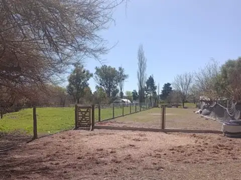 Los Zorzales 100