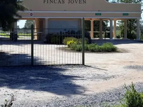 Terreno - Fincas Joven