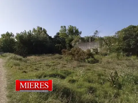 Terreno en Venta en Punta del Este, USD 230.000