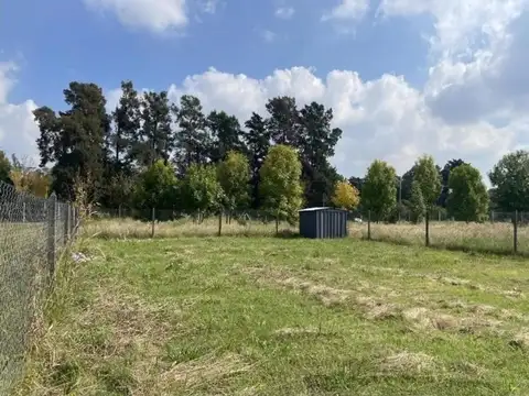 Pilar Tomas Espora 3300