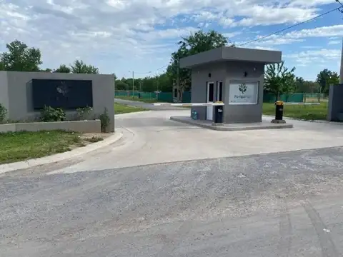 Pilar Tomas Espora 3300