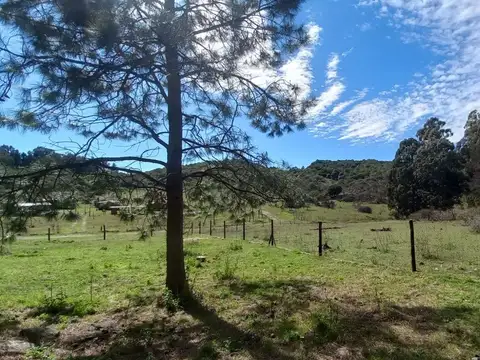 Terreno en Venta de 1595,0 m2