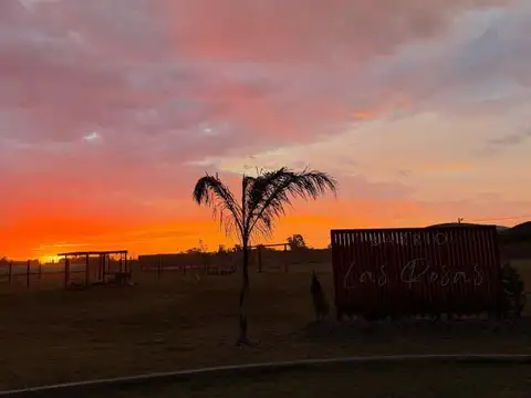 Terreno en Venta de 950,0 m2
