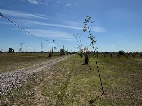 Terreno en Barrio las Rosas - Mariano Acosta