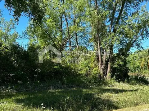 2 Terrenos - Lotes en Venta arroyo  Toro, Zona Delta, Tigre oportunidad
