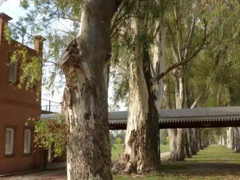 Terreno en Venta en La Asunción Club de Campo, USD 34.000