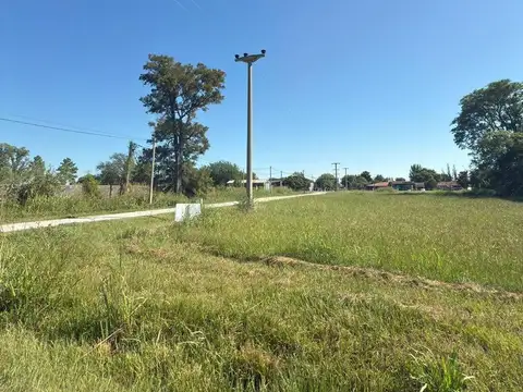 VENTA TERRENO EN NUEVO TORINO