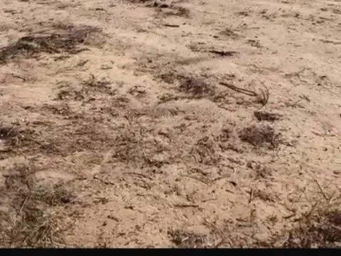 LOTE EN VENTA LUJAN DE CUYO