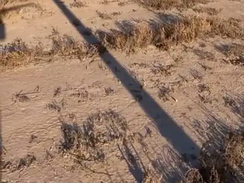 Terreno en Venta de 905,0 m2