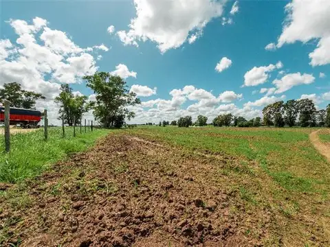 Campo en Venta de 3  ha