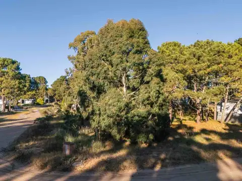 Terreno en Venta de 1000,0 m2