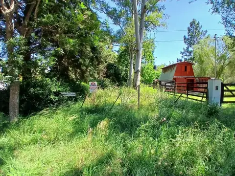 Ricardo Andino 100