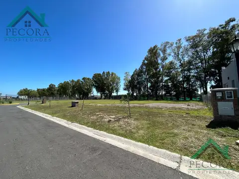 Santa Elisa - Lote 248 - Pilar del Este
