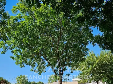 Terreno en venta Barrancas de Iraola