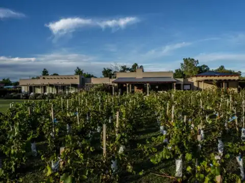 Complejo Turístico – Bodega en venta – Victoria Entre Rios ar-er10-1