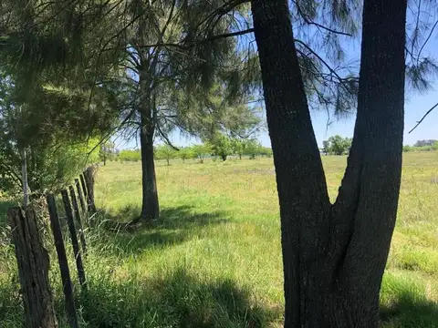 CHACRAS DE 1 HECTAREA EN MERCEDES CON ESCRITURA