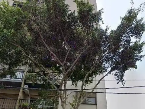 Lebensohn e/ Reconquista y Patricios