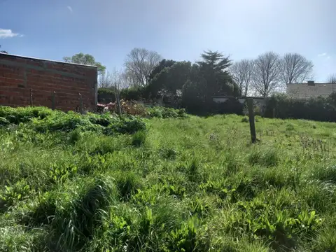 La Calandria