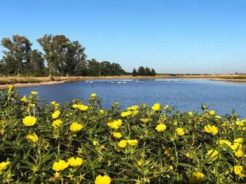 Terreno en Venta de 10000,0 m2