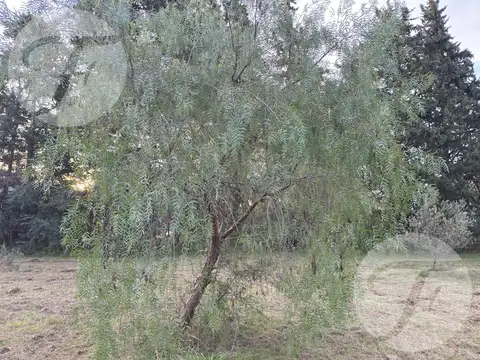 Terreno en Venta de 3787,0 m2