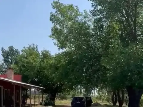 Finca,cultiva uva, damasco y membrillo ,4 dorm pileta