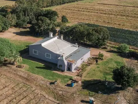 Campo en Venta Chacra