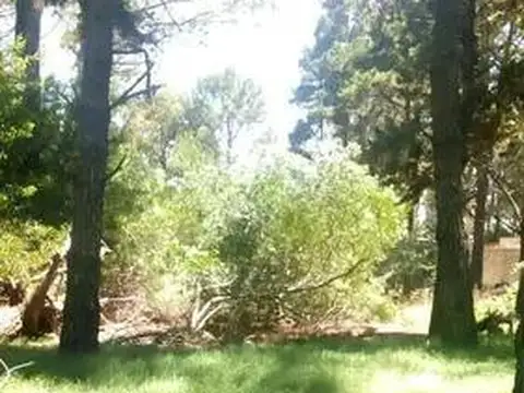 Terreno en Venta de 525,0 m2