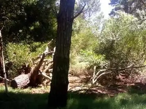 Comodoro Urtubey e/ Esparza y Loria