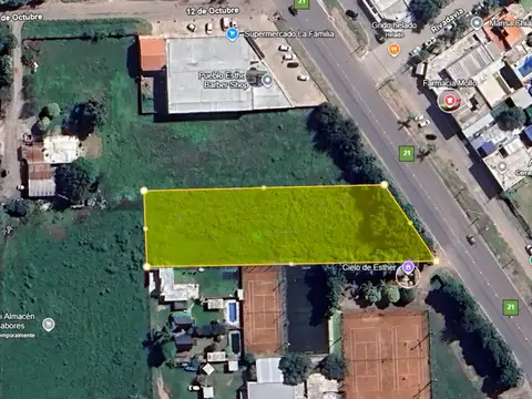 Terreno 3.000 mts2 sobre Ruta 21