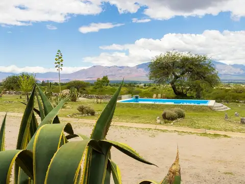 Cafayate. La Banda de Arriba. Lote 100