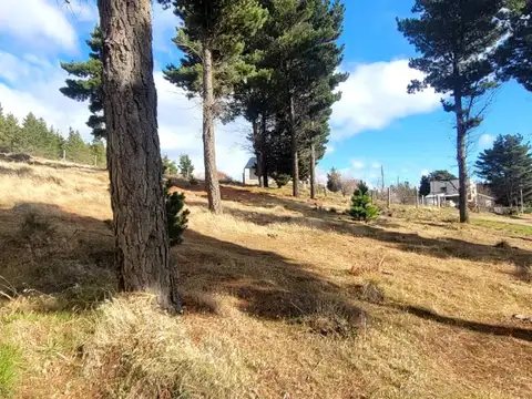 Terreno en Venta de 300,0 m2