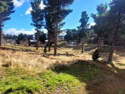 Los nogales 700