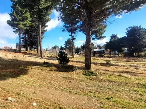 Loteo (Nogales y Petunias) Dina Huapi – Dina Hue