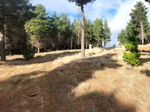 Terreno en Venta en Dina Huapi, USD 30.000