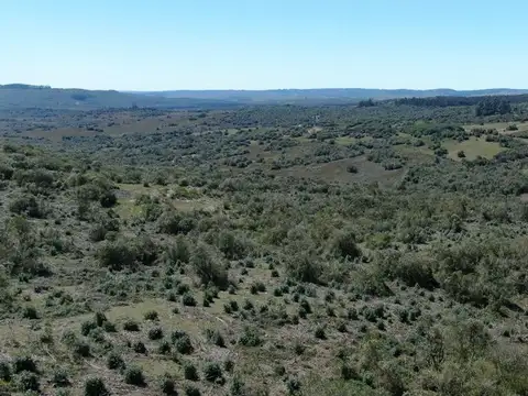 CAMPO EN VENTA AIGUA FORESTAL