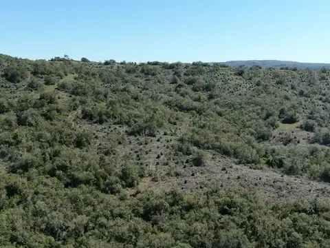 CAMPO EN VENTA AIGUA FORESTAL
