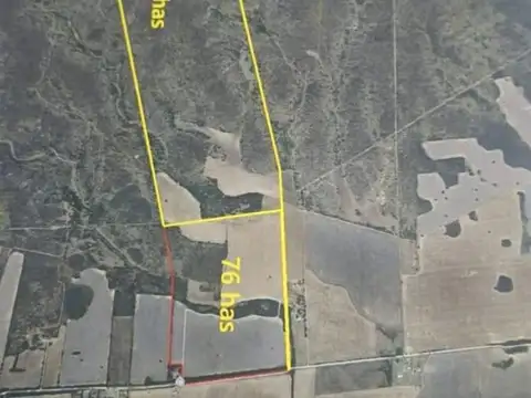 Campo en Venta de 315  ha