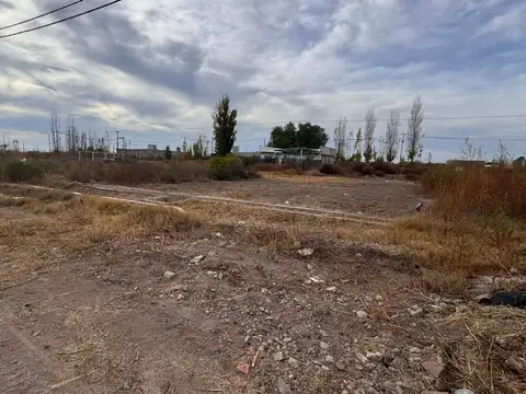 Paso de los Andes 100