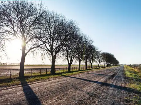 Terreno en Venta en Ibarlucea, USD 38.000