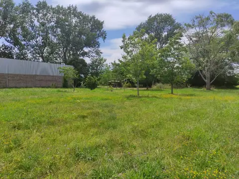 CHACRA EN VENTA ATALAYA DE 2 HECTAREAS C/ ARBOLEDA