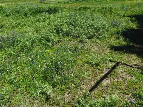 Oficina en Venta en Capilla del Señor, USD 90.000