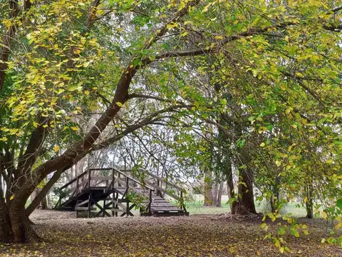 Chacra en Zona Norte