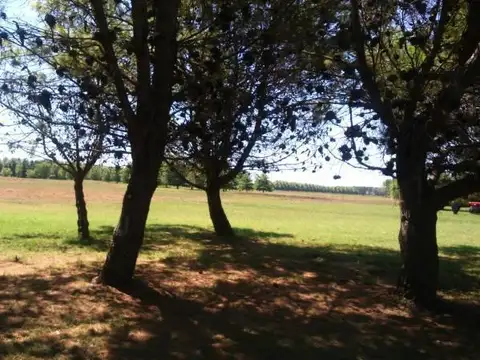 Terreno en Venta en La Macarena, USD 99.000