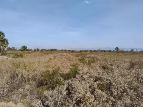 Terreno de 25.000 m2 apto desarrollo inmobiliario