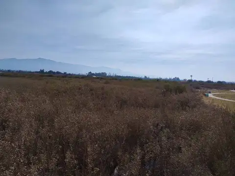 Terreno en Venta de 25000,0 m2